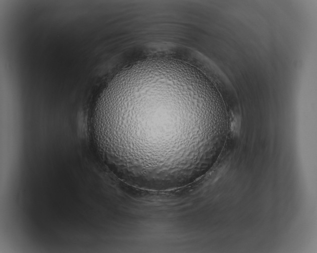 X0000103170819200808291508