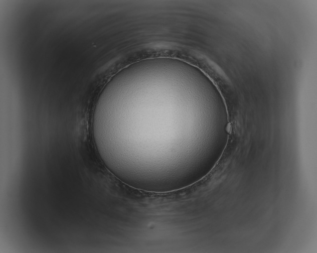 X0000103170821200808291508