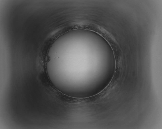 X0000103170822200808291508