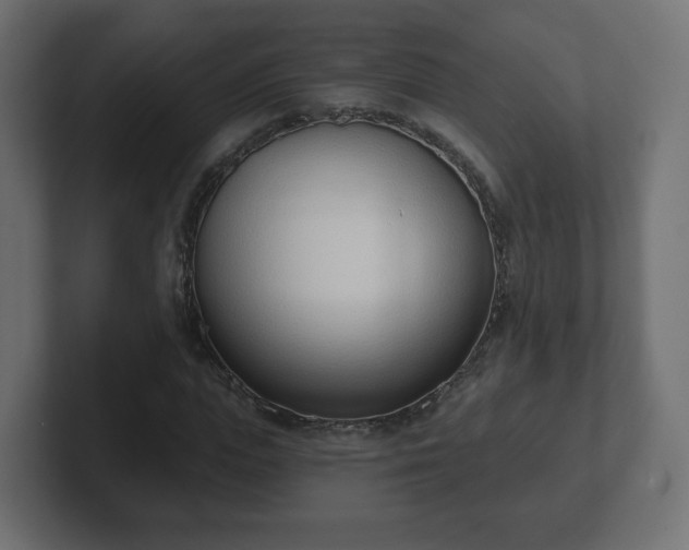 X0000103170823200808291508