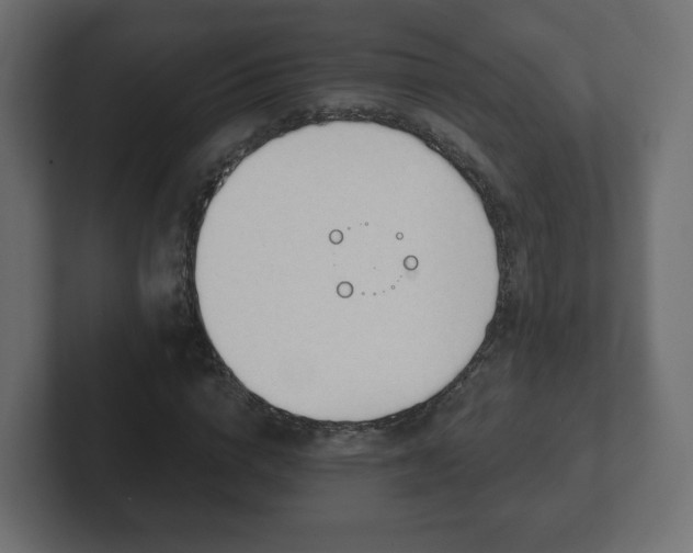 X0000103170824200808291508