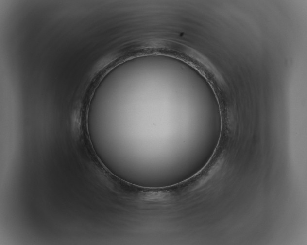 X0000103170826200808291508