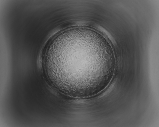 X0000103170827200808291508