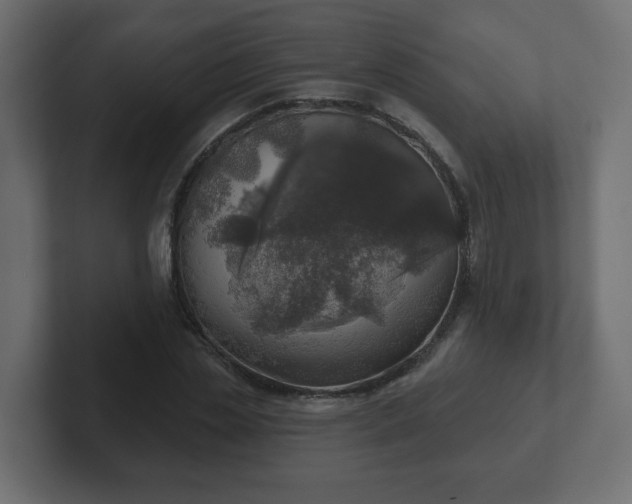 X0000103170829200808291508