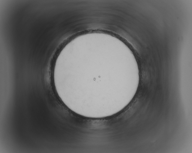 X0000103170832200808291508