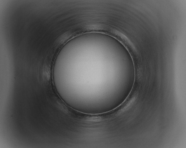 X0000103170833200808291508