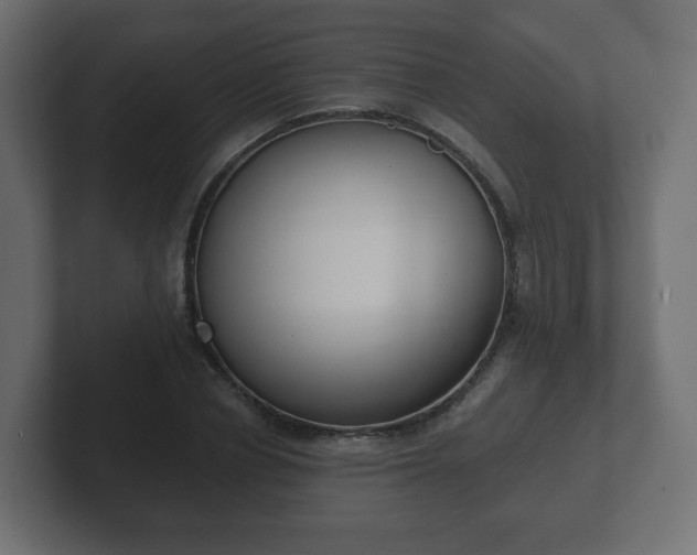 X0000103170834200808291508