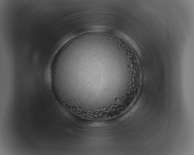 X0000103170835200808291508