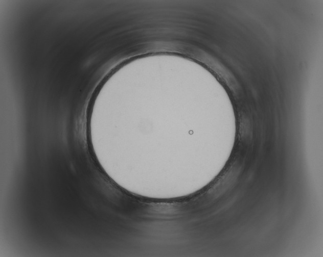 X0000103170836200808291508