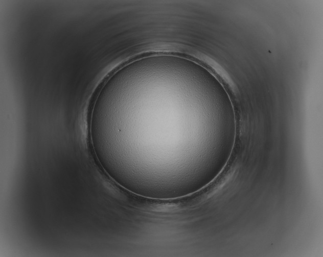 X0000103170837200808291508