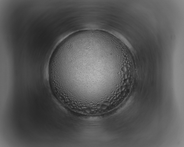 X0000103170839200808291508