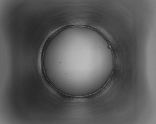 X0000103170840200808291508