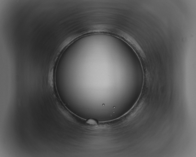 X0000103170842200808291508