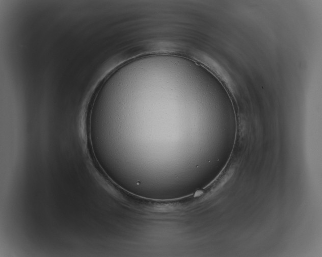 X0000103170843200808291508