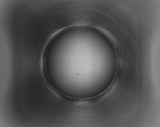 X0000103170846200808291508