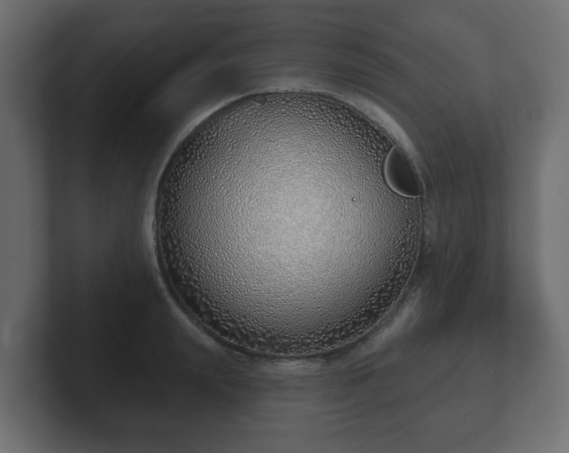 X0000103170847200808291509