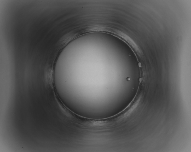 X0000103170849200808291509