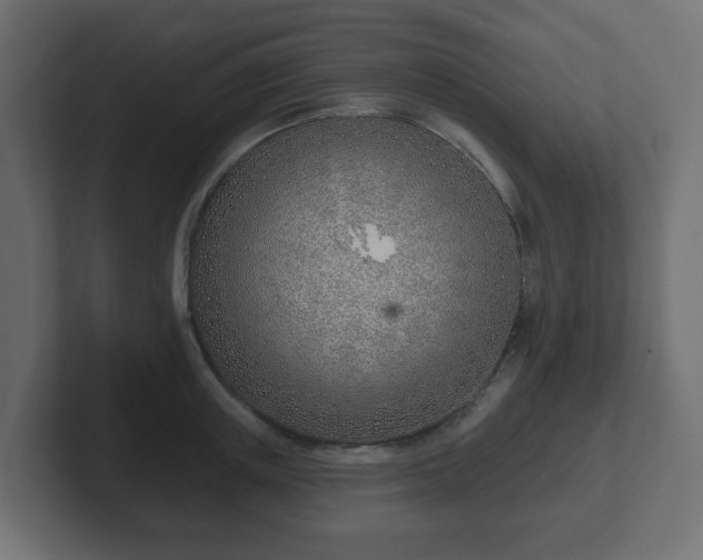 X0000103170851200808291509