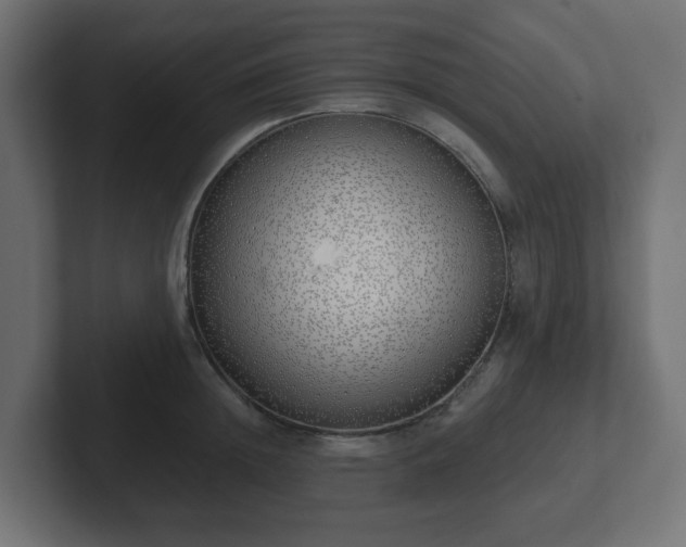 X0000103170852200808291509