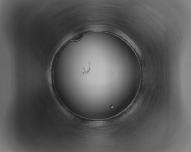 X0000103170853200808291509