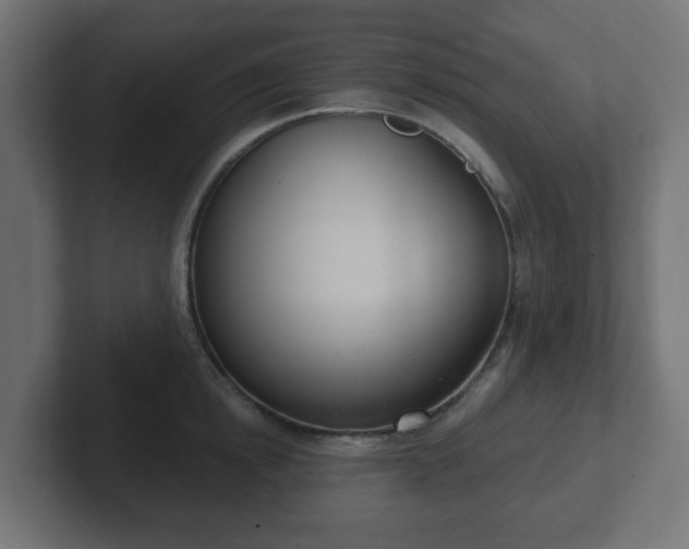 X0000103170854200808291509