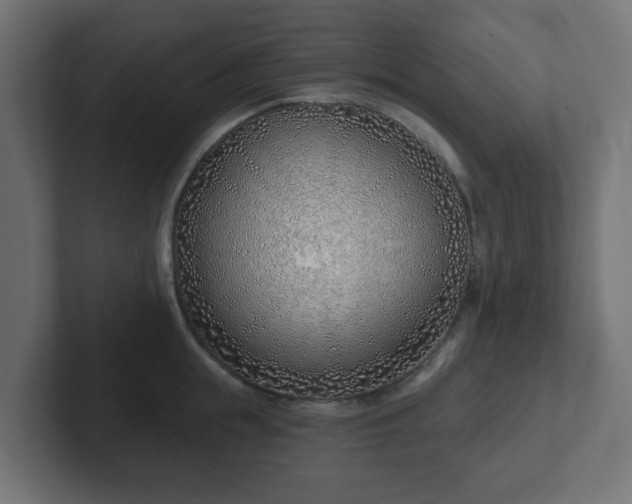 X0000103170855200808291509