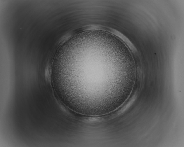 X0000103170857200808291509