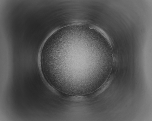 X0000103170859200808291509