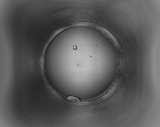 X0000103170860200808291509