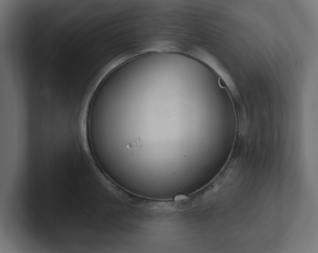 X0000103170861200808291509