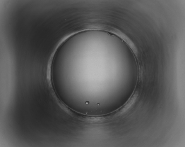 X0000103170862200808291509