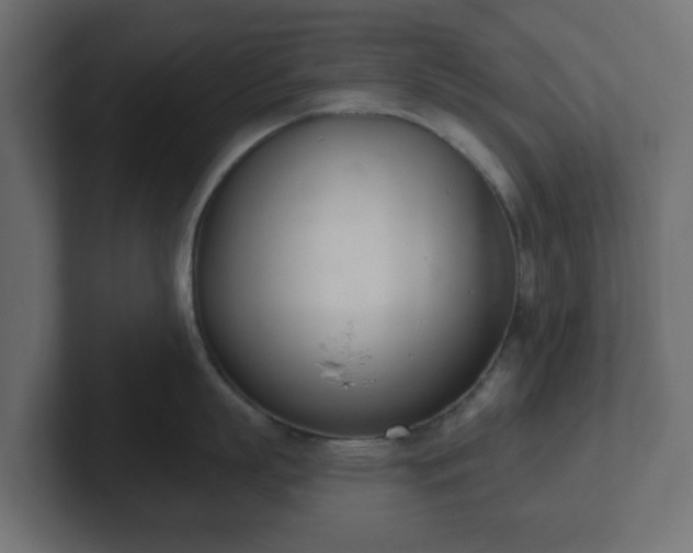 X0000103170863200808291509