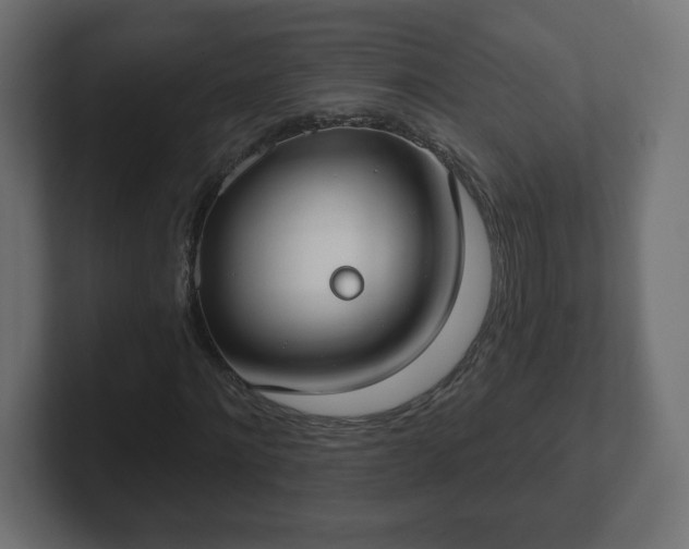 X0000103170868200808291508