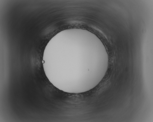 X0000103170869200808291508