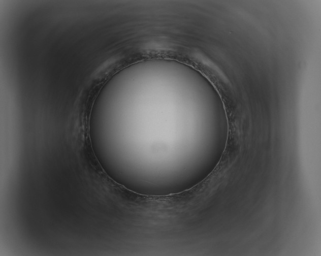 X0000103170870200808291508