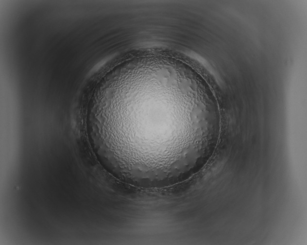 X0000103170871200808291508