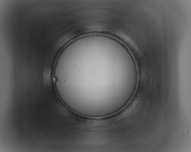 X0000103170873200808291508