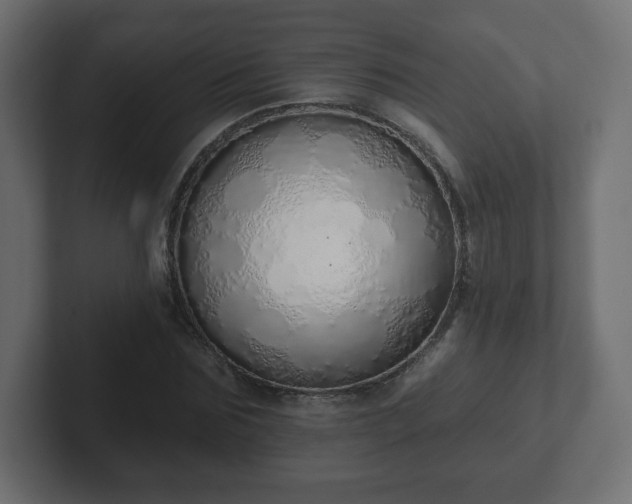 X0000103170875200808291508