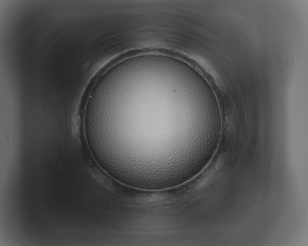 X0000103170879200808291508