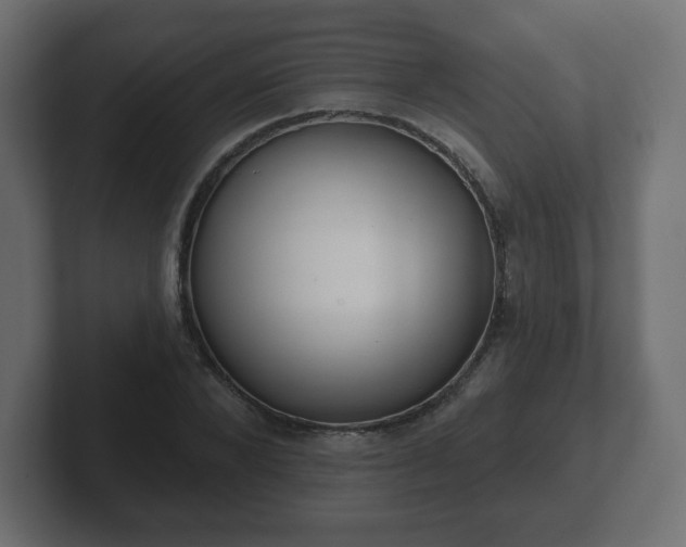 X0000103170880200808291508