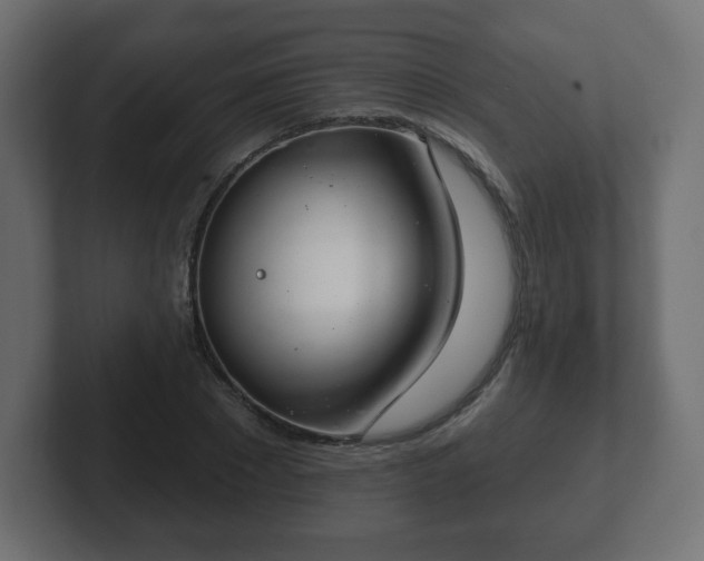 X0000103170881200808291508