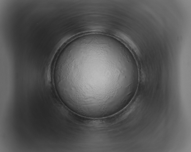 X0000103170883200808291508