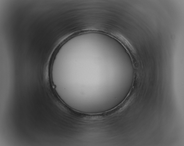 X0000103170884200808291508