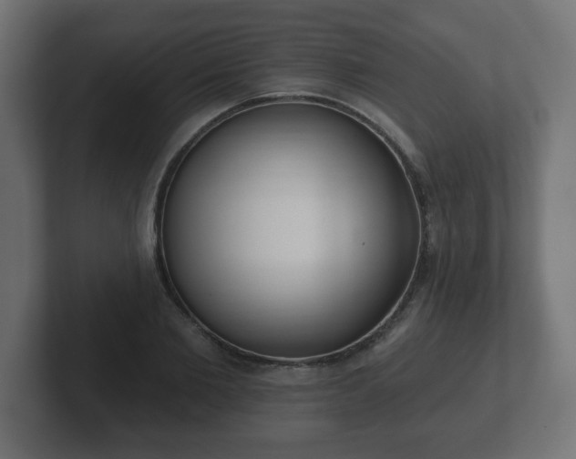 X0000103170885200808291508