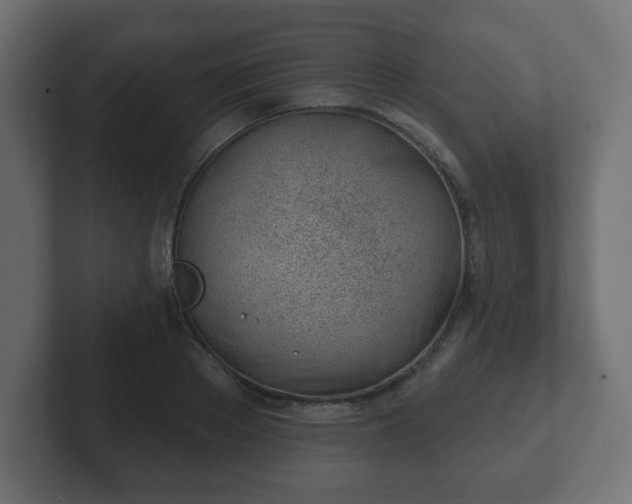 X0000103170889200808291508