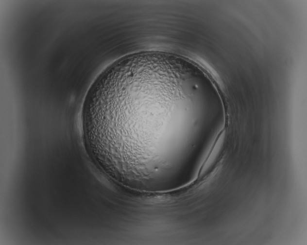 X0000103170891200808291508