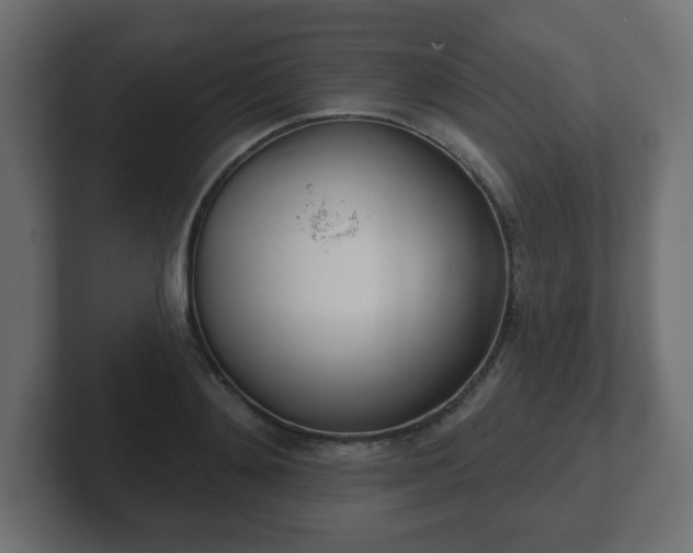 X0000103170892200808291508