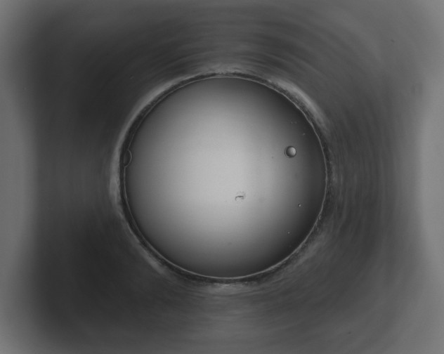 X0000103170894200808291508