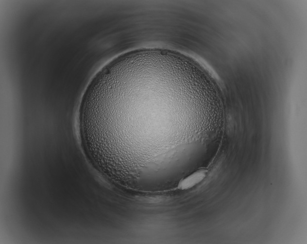 X0000103170895200808291508