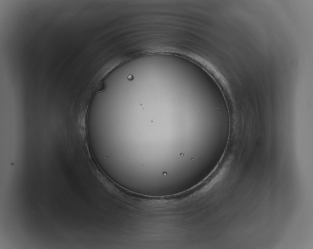 X0000103170897200808291508